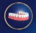 Fixodent