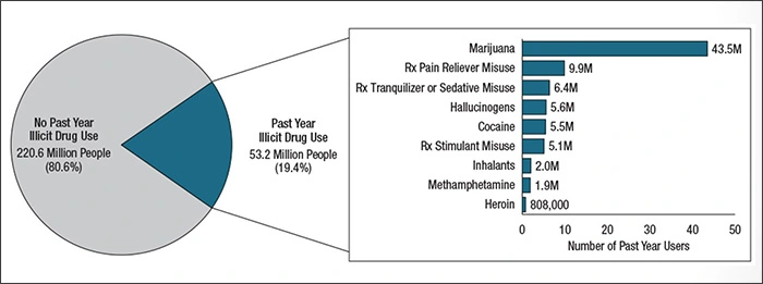Bar graph of past-month illicit drug use 2013.
