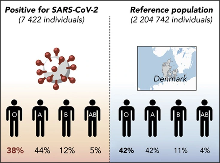 Illustrated diagram showing percentages of COVID-19 cases for each blood type