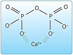 Image: Pyrophosphate: Negatively charged pyrophosphate molecules bind (chelate) positively charged calcium ions.