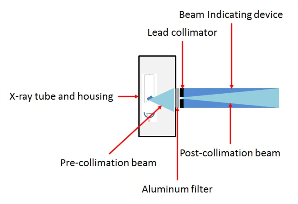 Schematic cross-sectional anatomy of a dental x-ray tube.