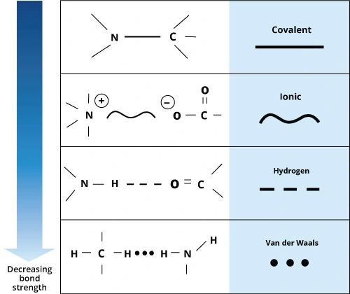 ce580 - Content - Conceptual Basis of Drug Action - Figure 1
Chart showing hydrogen bonding and ionic bonding are the most common in drug-receptor interactions