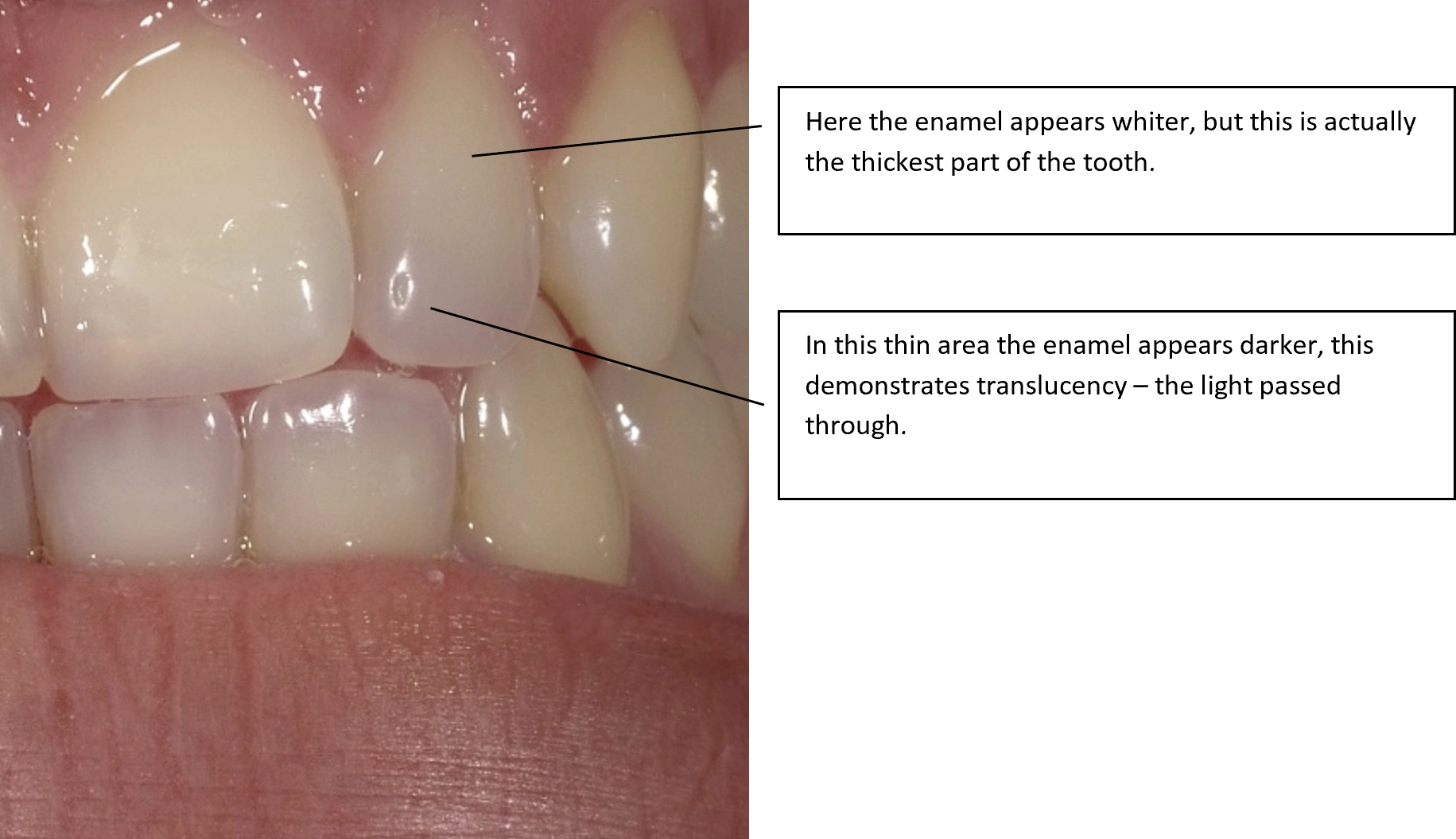 ce657 - Fig3