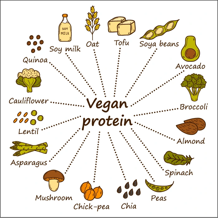 Vegan proteins