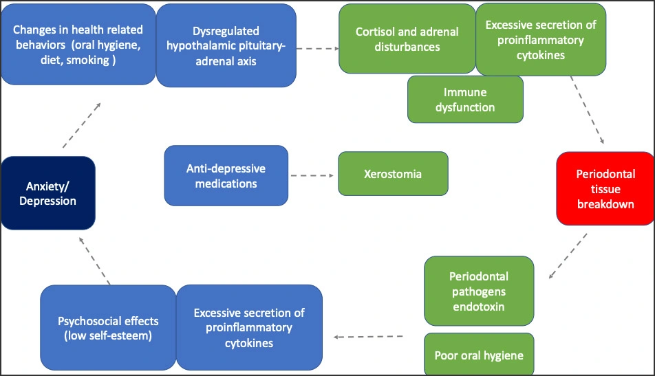 Influence of Psychosocial Factors on Periodontal Diseases and Tooth ...