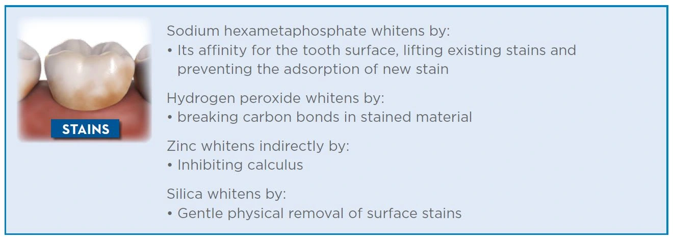Stannous fluoride and stain prevention