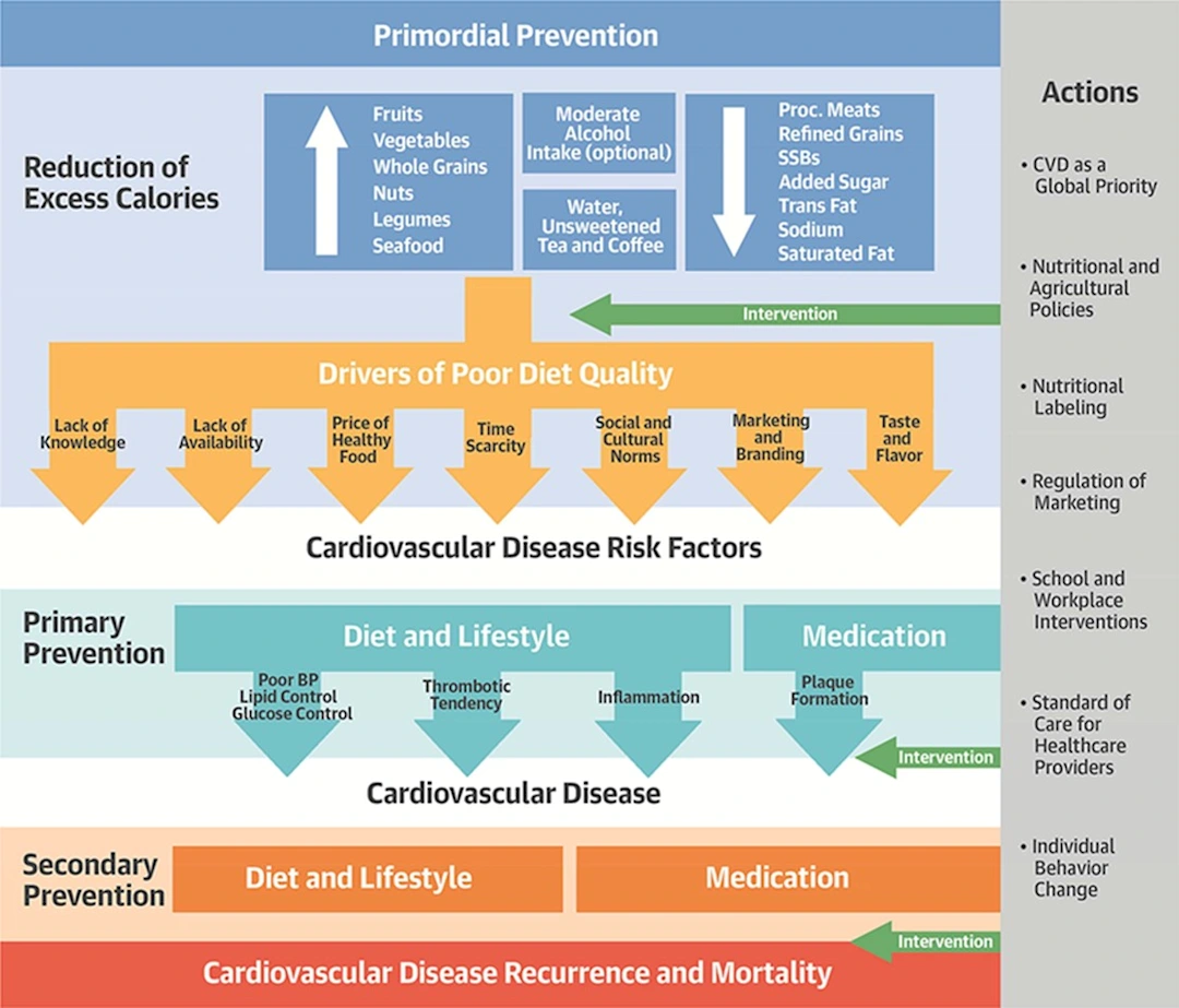 Cardiovascular Disease Course Contents | DentalCare.com
