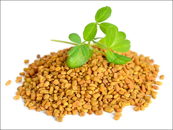 ce549 - Content - Fenugreek (Trigonella foenum-graecum) - Figure 1