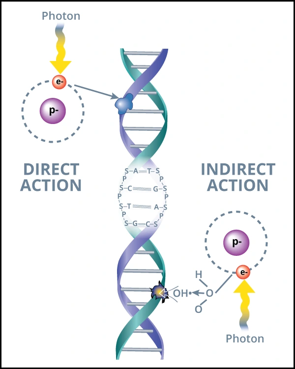 hydroxyl radicals