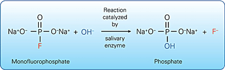 ce73-img14-enzymatic-activation