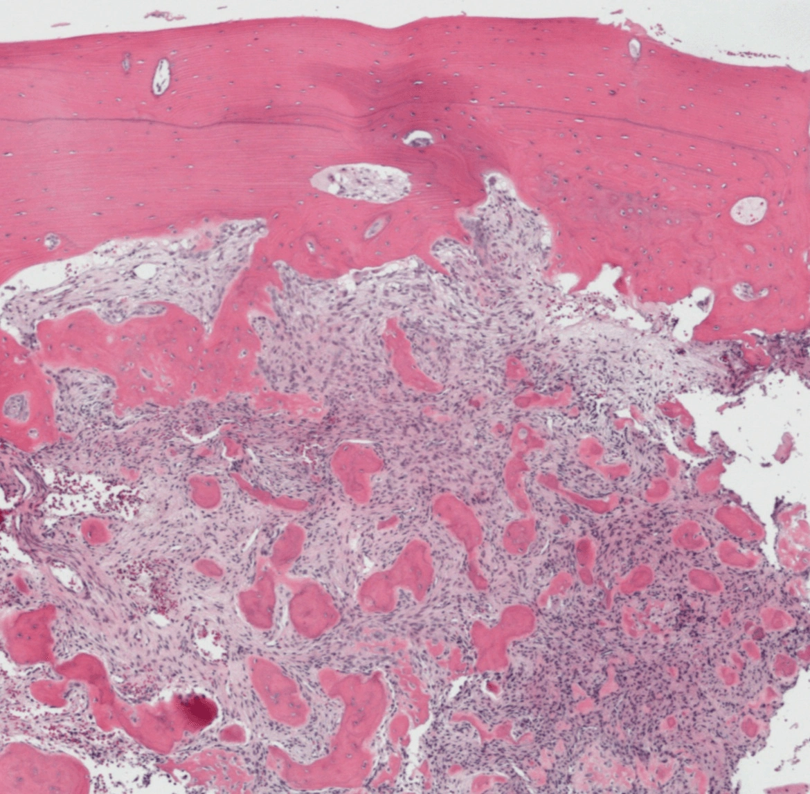 Case Challenge 73 - Content - Diagnostic Information - Figure 2