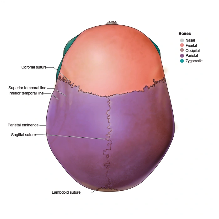 ce591 - Content - Appendices - Figure 5