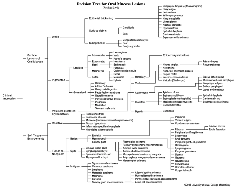 Image: Decision Tree for Oral Mucosa Lesions