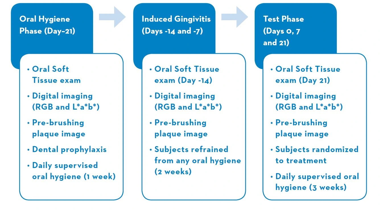 Oral Hygiene Induced Gingivitis Study Design