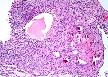 Case Challenge 29 figure 6