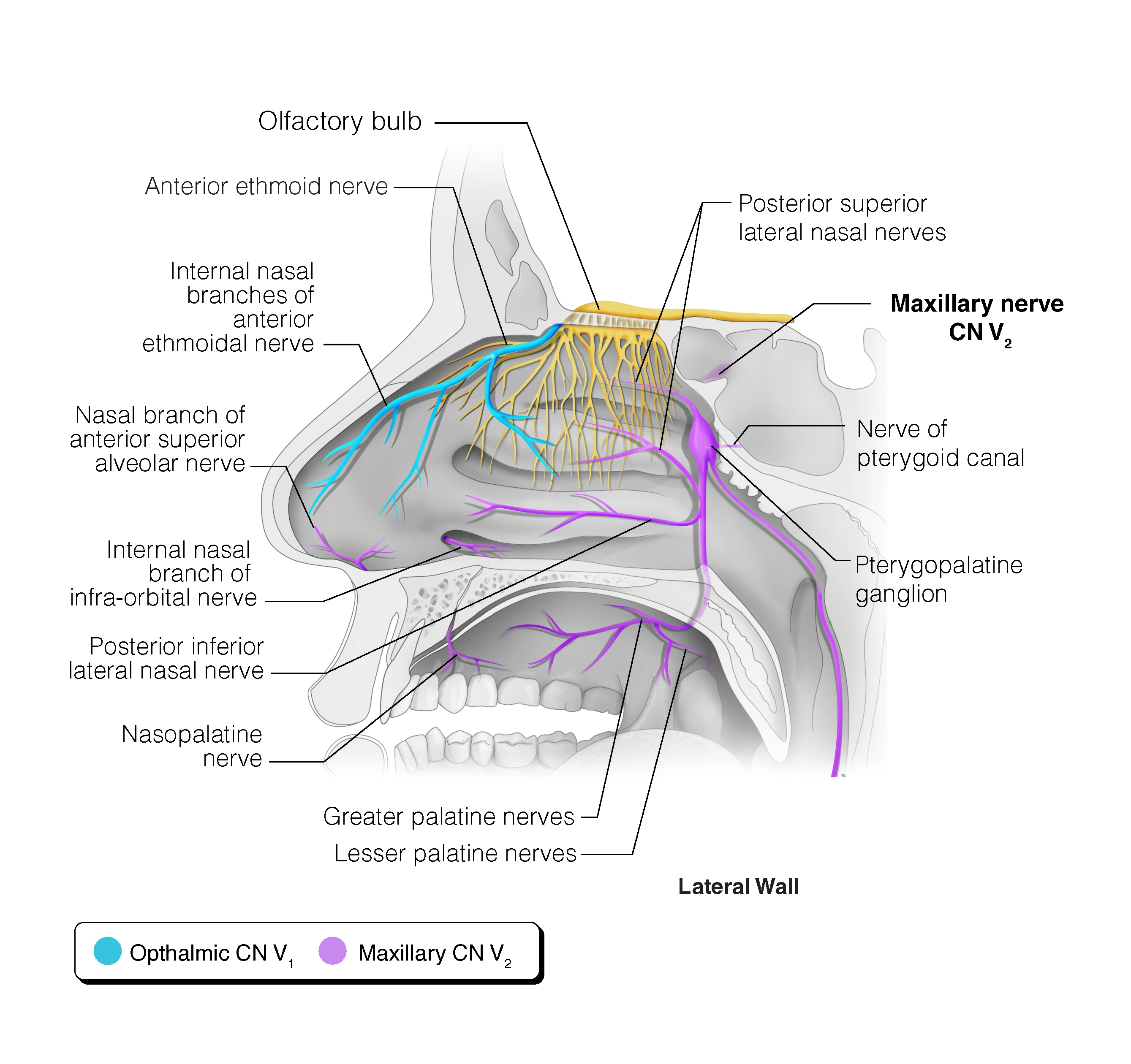 CE598 - Appendix I