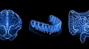 The Chronic Gum Disease And AlzheImer’s Link