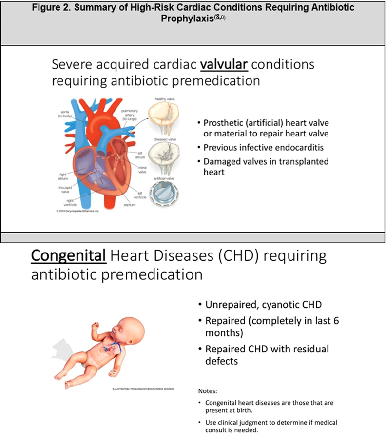 ce628 - Figure 2