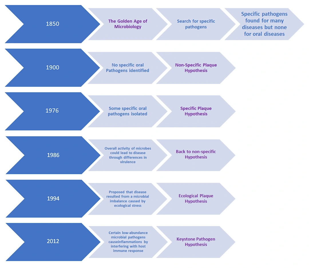 The Evolution of Plaque Hypotheses in Periodontal Disease Progression The Oral Microbiome A
