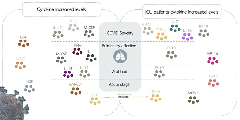 Illustrated diagram of increased cytokine levels of COVID-19 patients