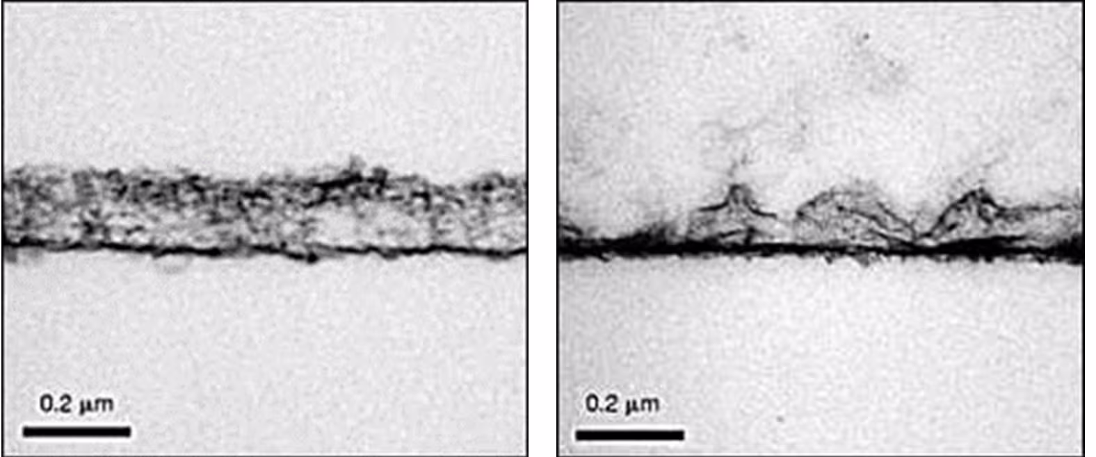 ce716 - Images - Figure 3ab