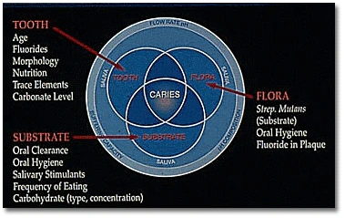 fig076