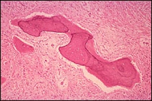 Case Challenge 10 - Content - Diagnostic Information - Figure 8