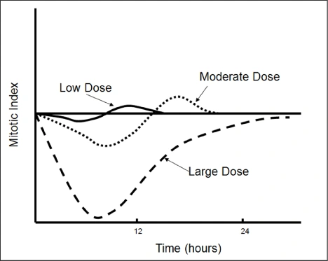 Change of mitotic rate as a function of dose and time