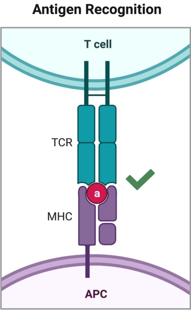 fig05