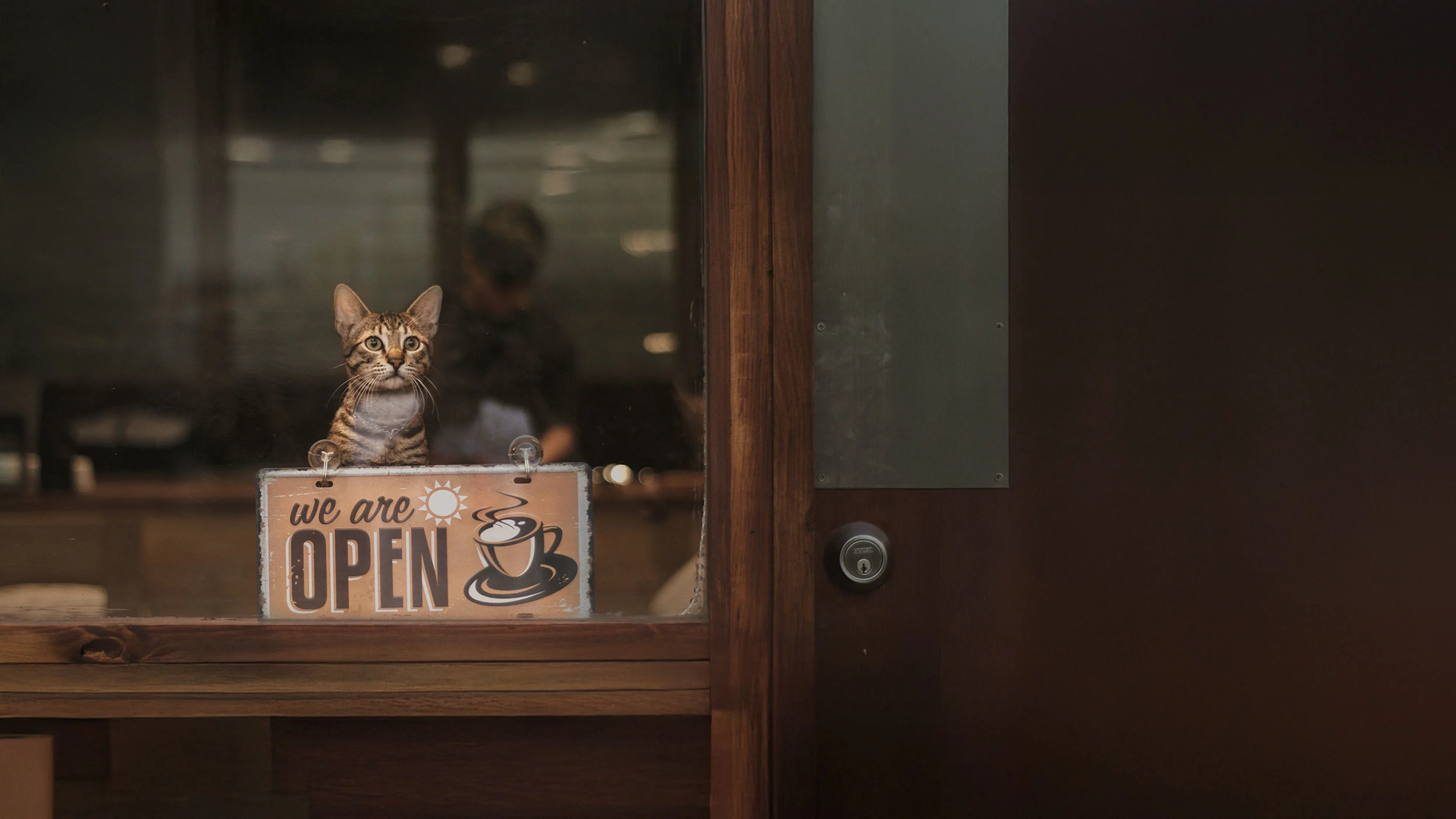 Cat sitting in front of a ‘We Are Open’ sign at a small business, symbolizing a welcoming and friendly storefront.