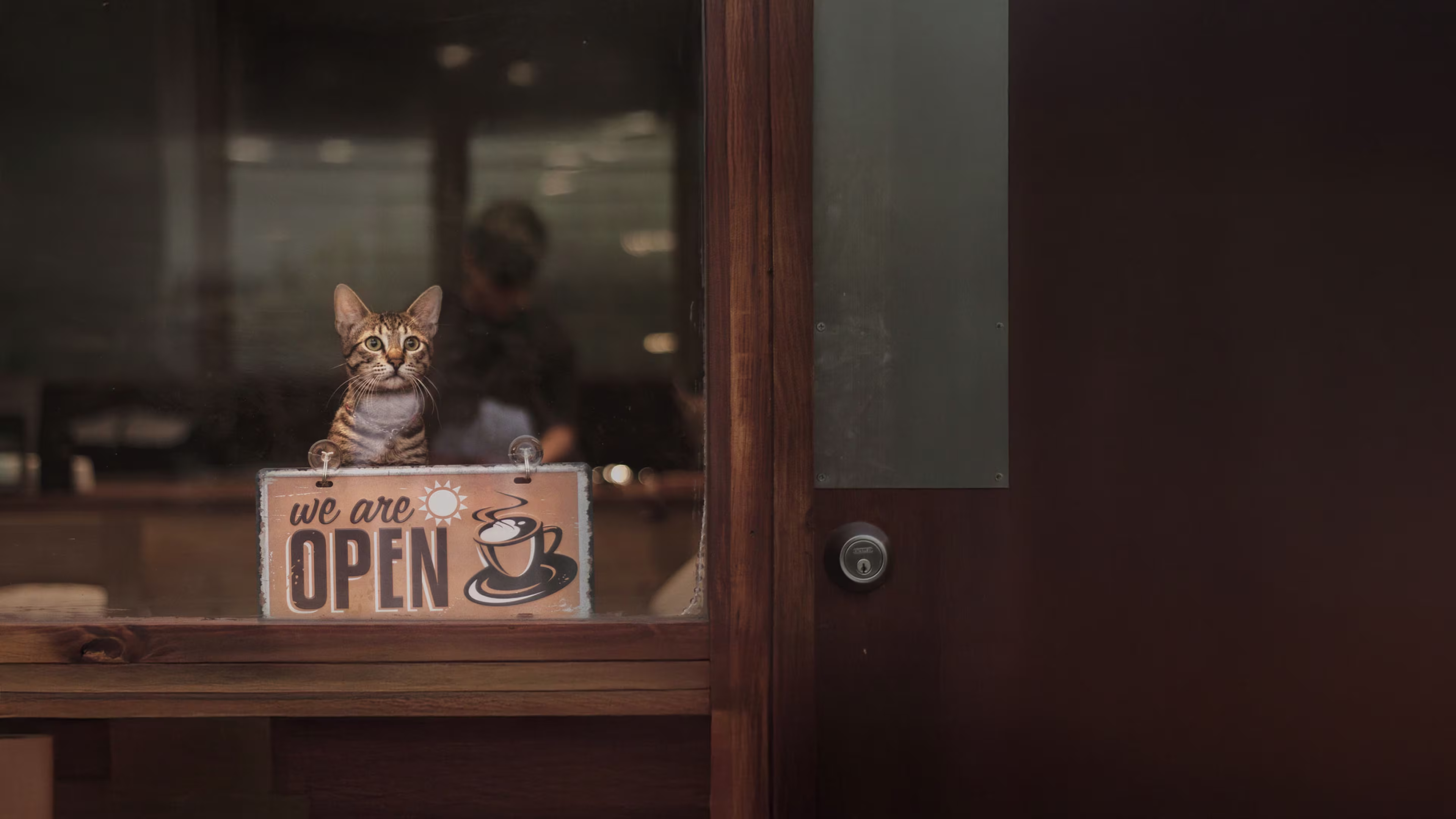 Cat sitting in front of a ‘We Are Open’ sign at a small business, symbolizing a welcoming and friendly storefront.