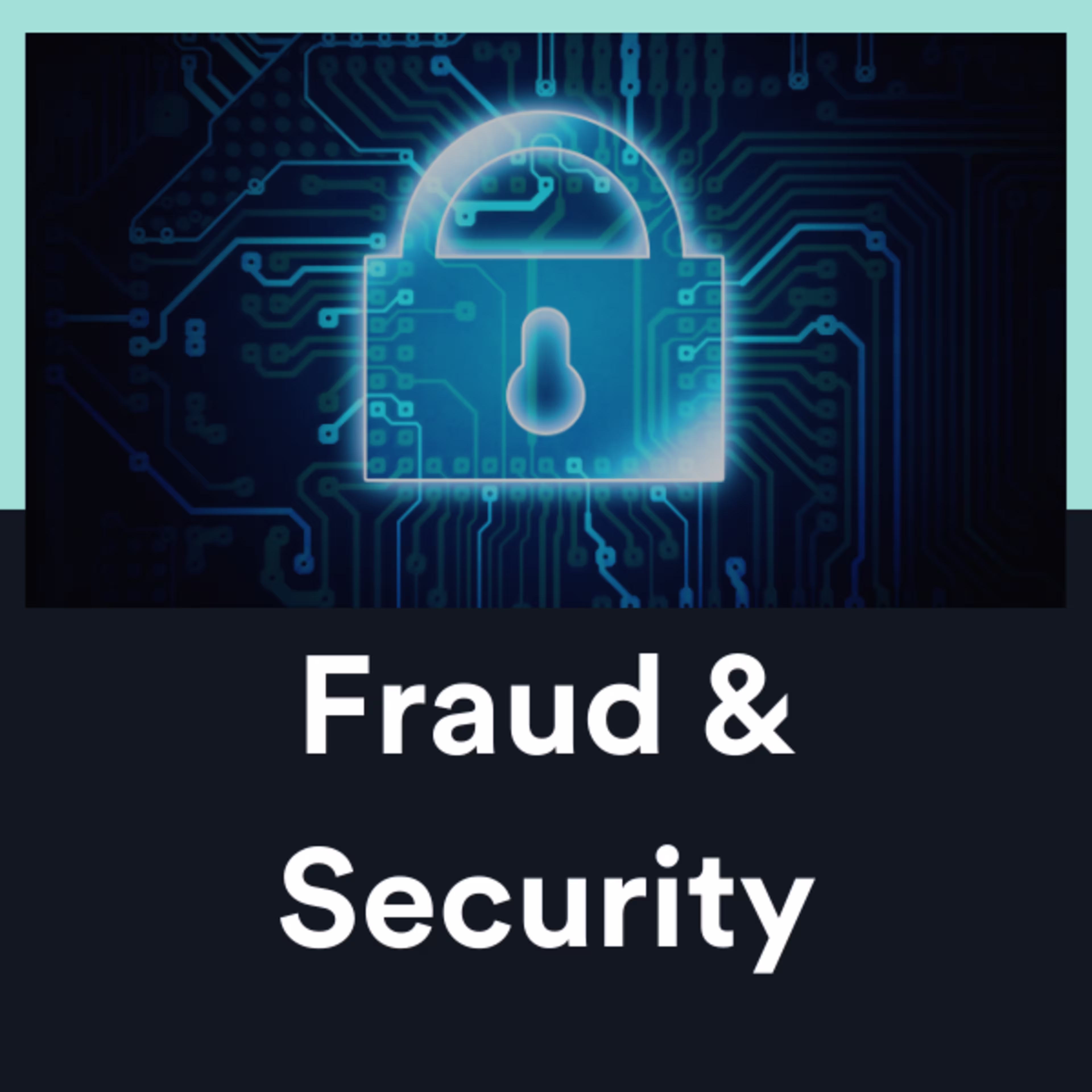 Fraud and Security