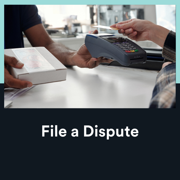 File a Dispute