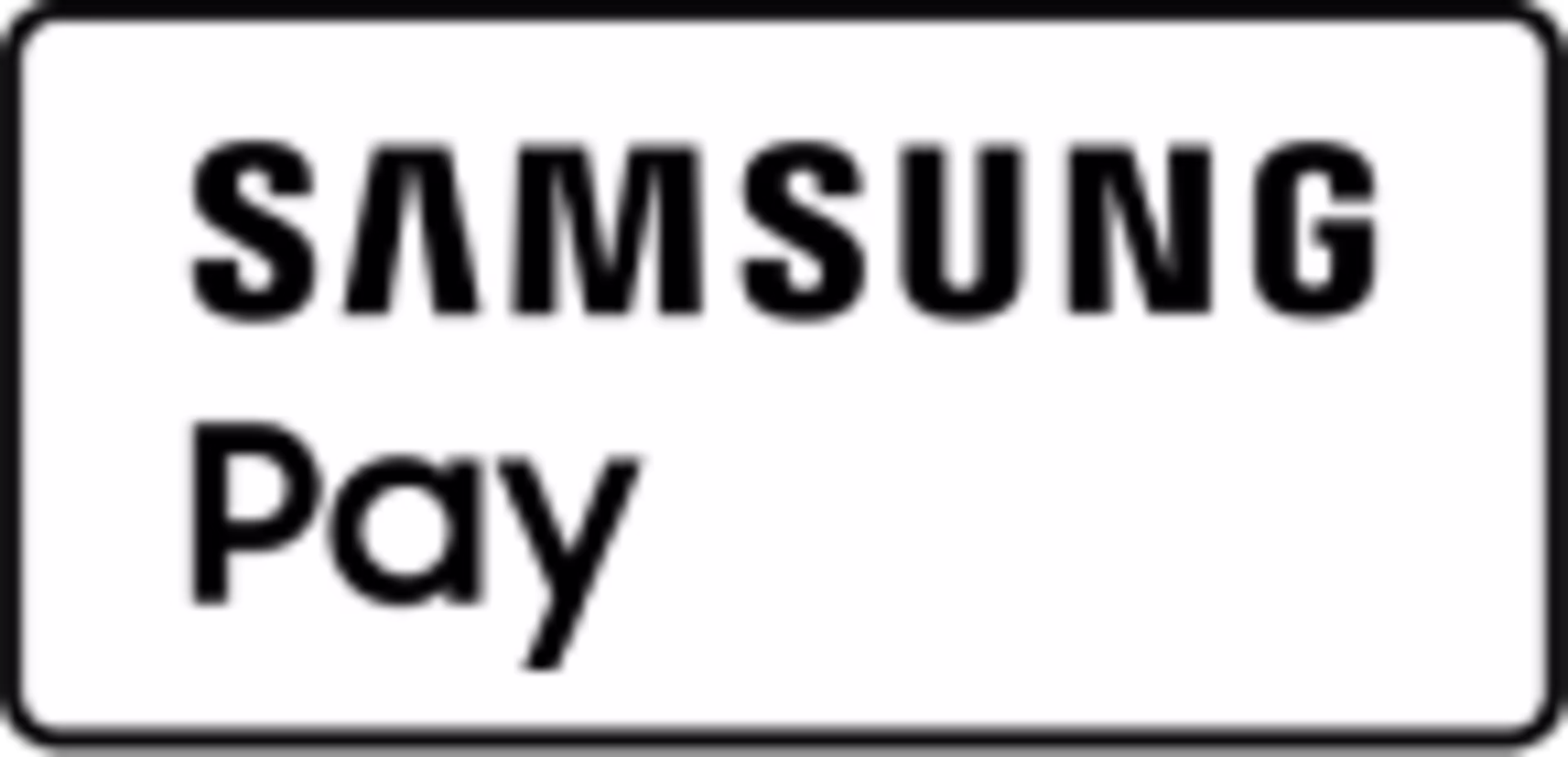 Samsung Pay icon