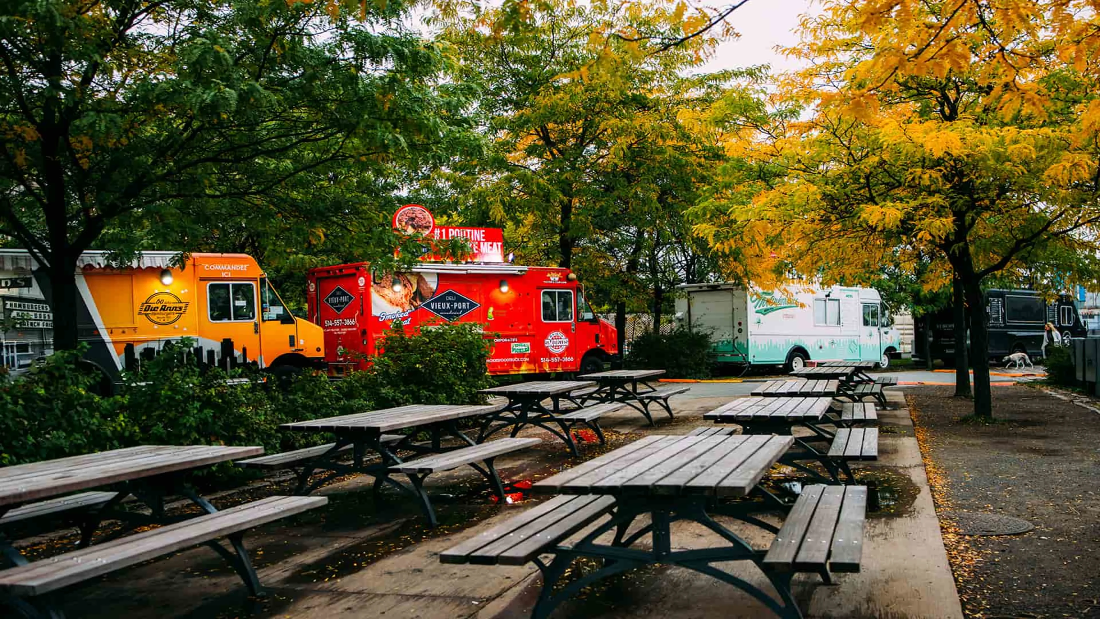 A row of colorful food trucks representing small businesses, perfect for owners using a small business credit card to manage expenses.