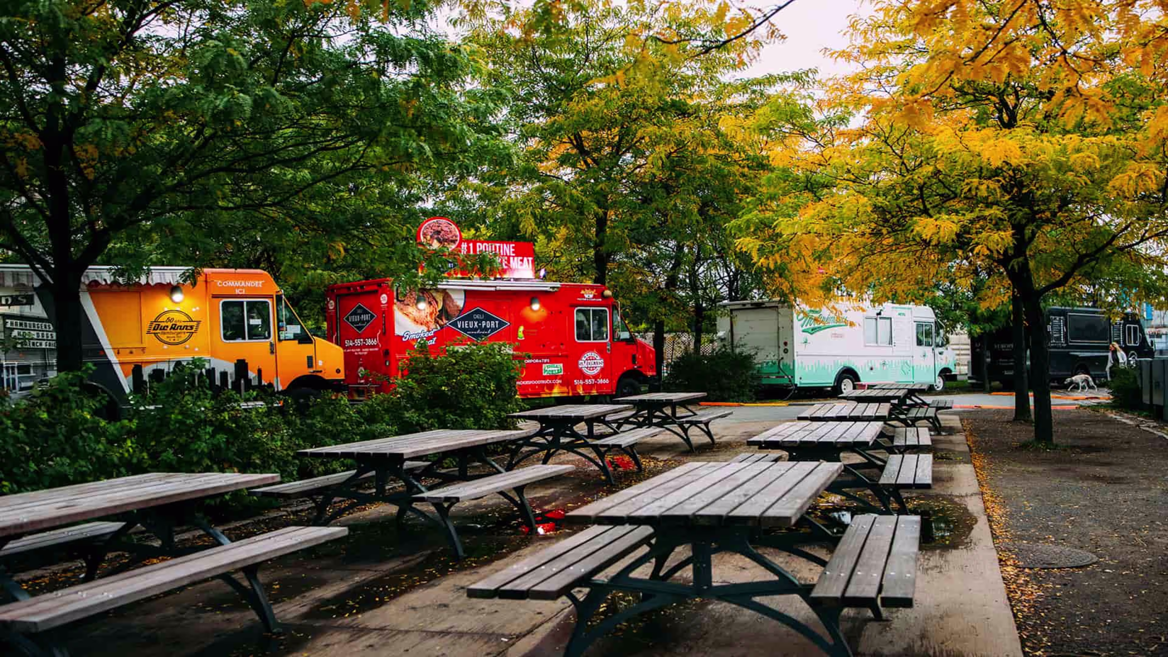 A row of colorful food trucks representing small businesses, perfect for owners using a small business credit card to manage expenses.
