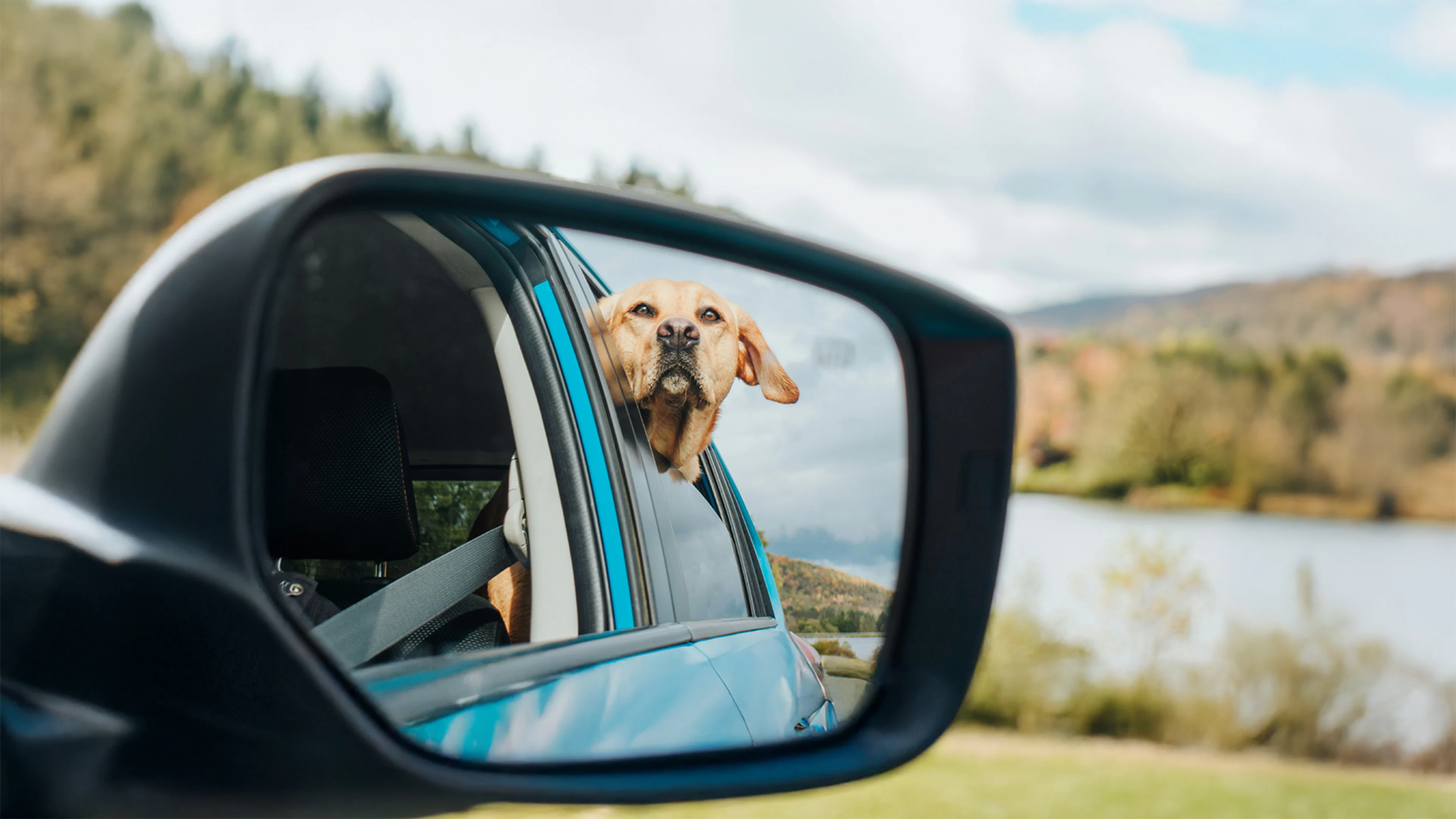 Colorado Auto Loan Rates