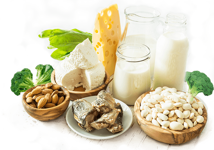 FUNCTION, FOOD SOURCES AND EFFECTS OF DEFICIENCY OF CALCIUM.