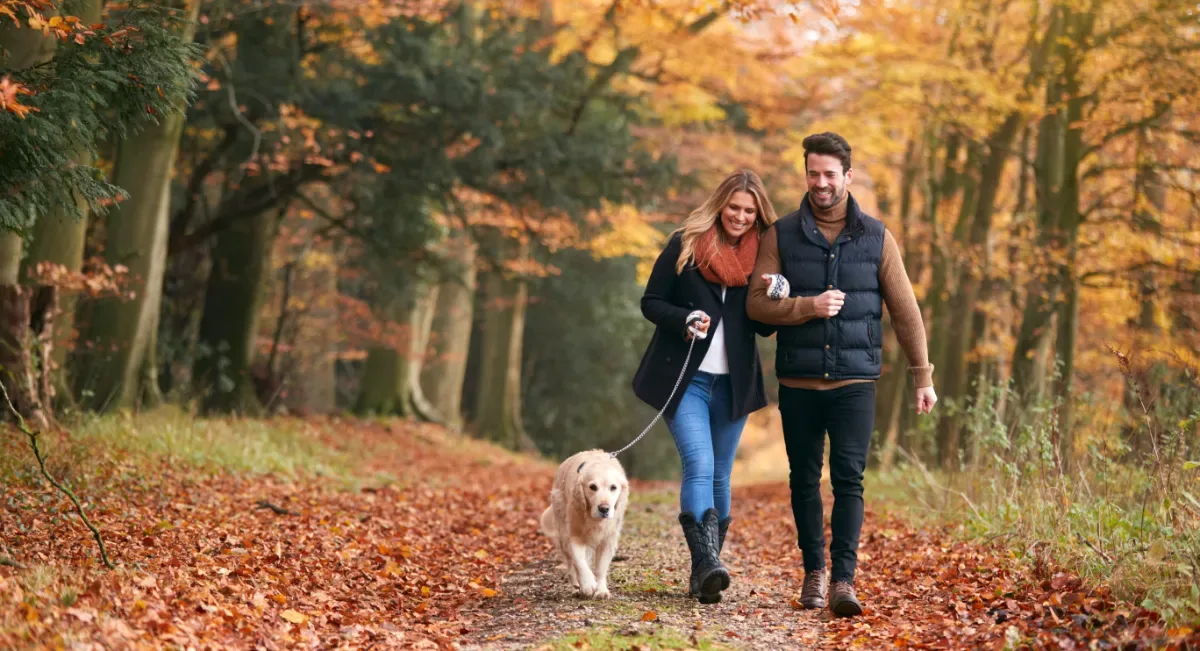 Positieve emotie - man en vrouw lopen blij door bos met hond