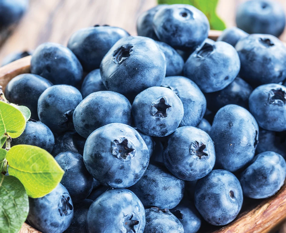 Grocery Store Low Prices Lidl US