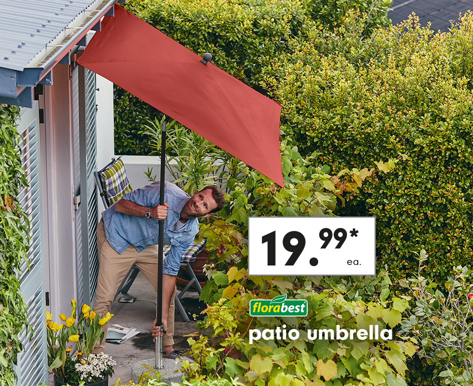 lidl gardening offers Fasci Garden