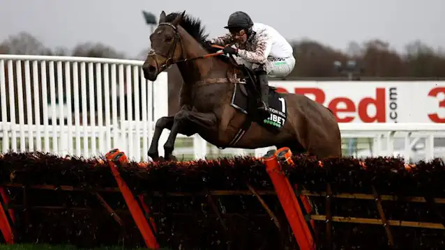 Cheltenham Champion Hurdle 2023 predictions: Constitution Hill impossible to oppose