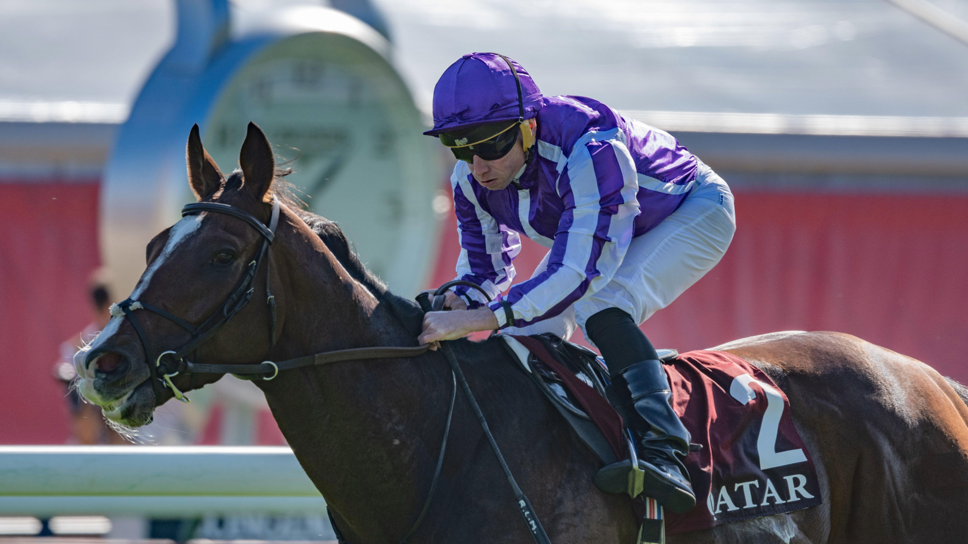 Illinois is fancied to land the Goodwood Cup on the first day of Glorious Goodwood