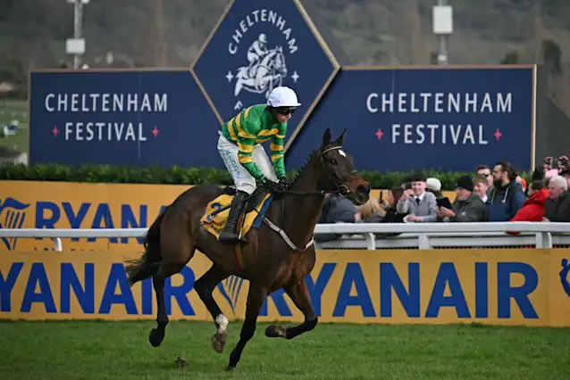 Why the November Meeting is an important fixture ahead of the Cheltenham Festival