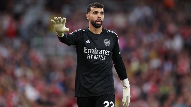 David Raya has made four Premier League appearances for Arsenal this season