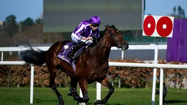 Irish Champion Stakes predictions: Delacroix to land Leopardstown prize