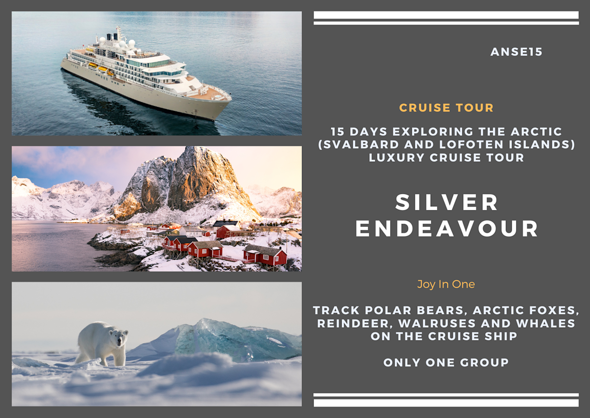 ### 15 days to explore the Arctic (Svalbard Lofoten Islands) Silver Endeavor Luxury Cruise Tour (ANSE15)