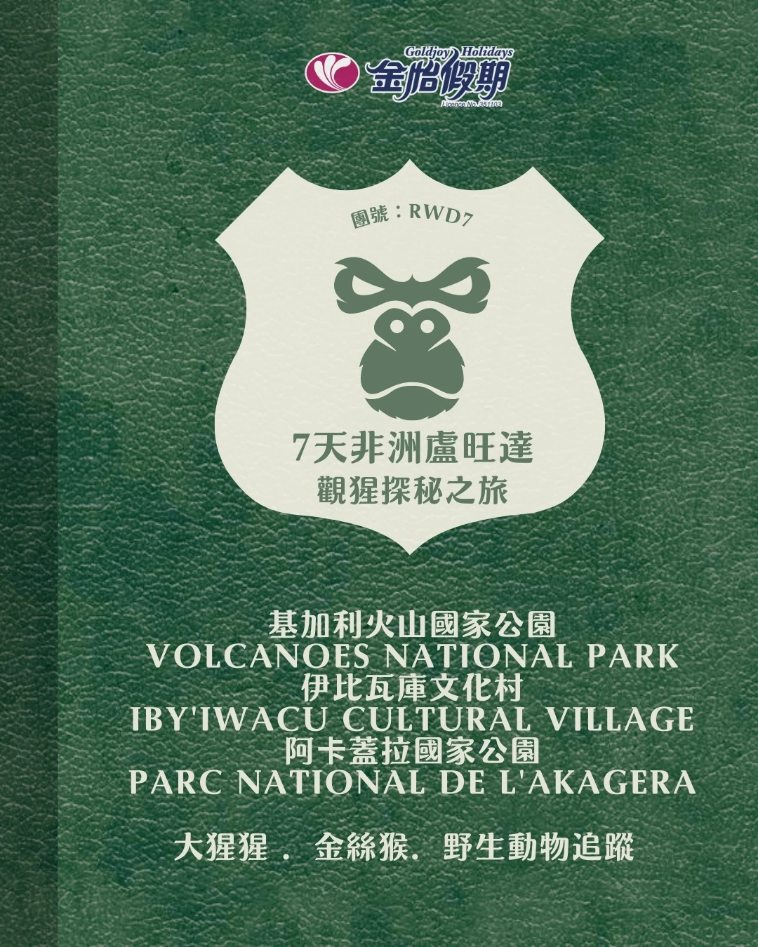 RWD7 大猩猩 盧旺達