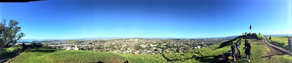 MT EDEN1