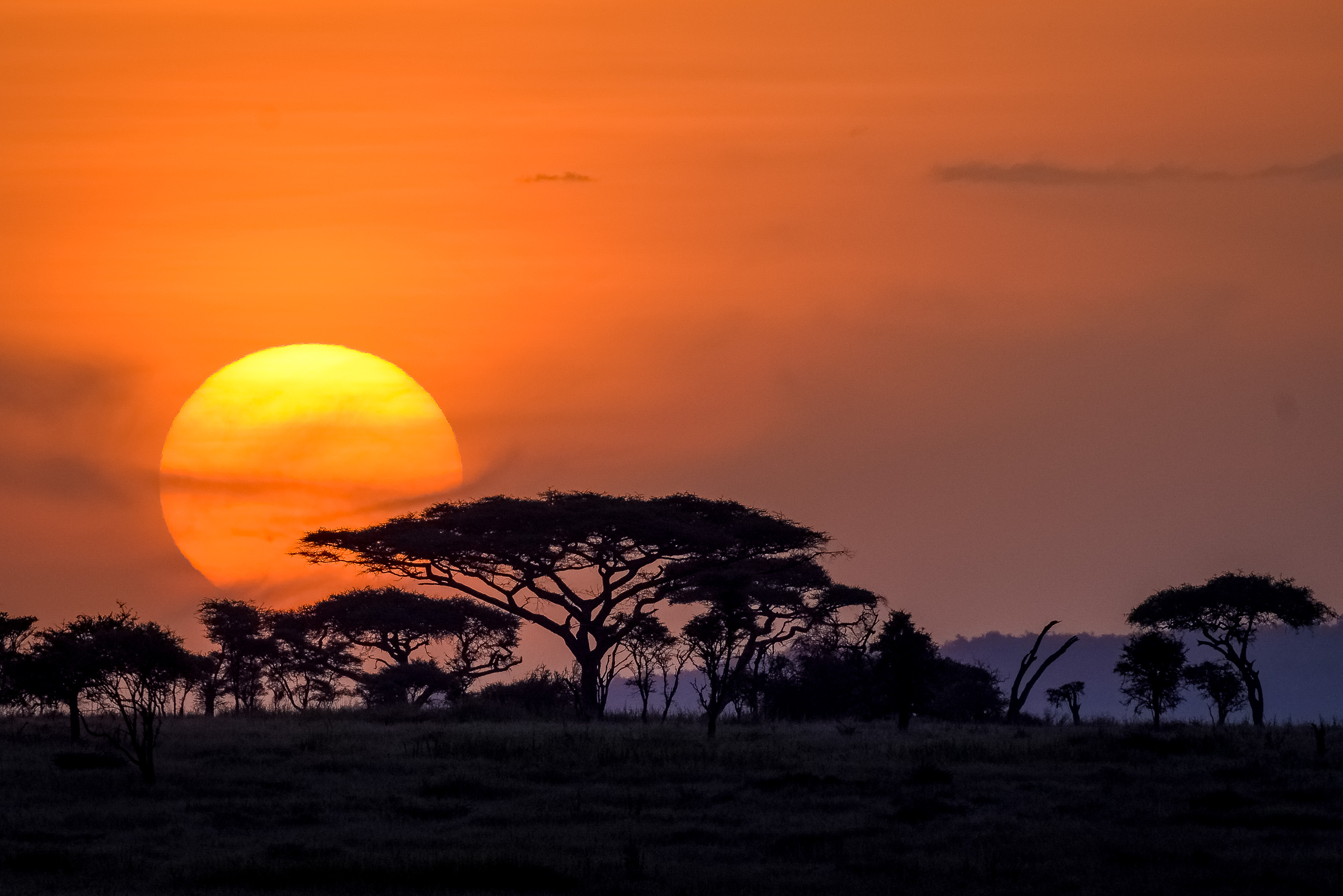 Serengeti sunset-1001